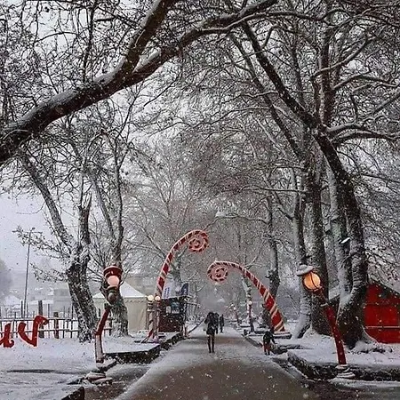 Panos House - Warm And Cozy Retreat Апартаменты