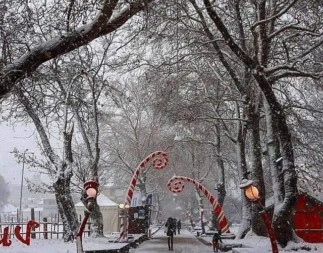 Panos House - Warm And Cozy Retreat Apartment